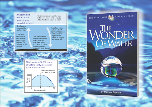 The Wonder of Water